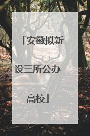 安徽拟新设三所公办高校