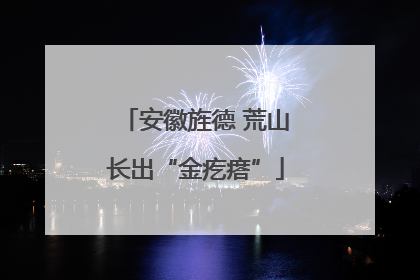 安徽旌德 荒山长出“金疙瘩”