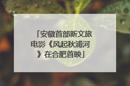 安徽首部新文旅电影《风起秋浦河》在合肥首映
