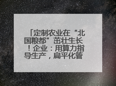 定制农业在“北国粮都”茁壮生长！企业：用算力指导生产，扁平化管理种地
