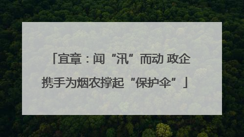 宜章：闻“汛”而动 政企携手为烟农撑起“保护伞”