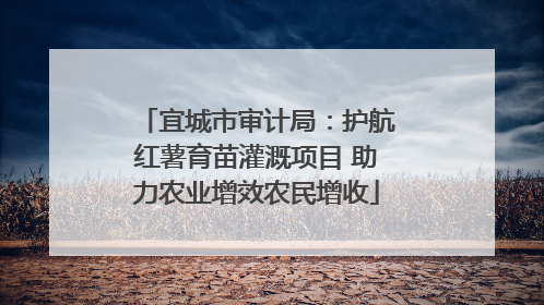 宜城市审计局：护航红薯育苗灌溉项目 助力农业增效农民增收