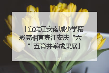 宜宾江安南城小学精彩亮相宜宾江安庆“六一”五育并举成果展