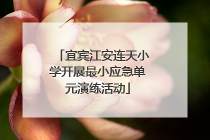 宜宾江安连天小学开展最小应急单元演练活动