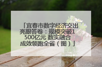 宜春市数字经济交出亮眼答卷：规模突破1500亿元 数实融合成效领跑全省（图）