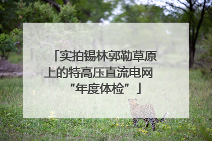 实拍锡林郭勒草原上的特高压直流电网“年度体检”