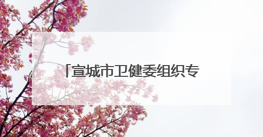 宣城市卫健委组织专业团队护航中高考
