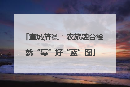 宣城旌德：农旅融合绘就“莓”好“蓝”图