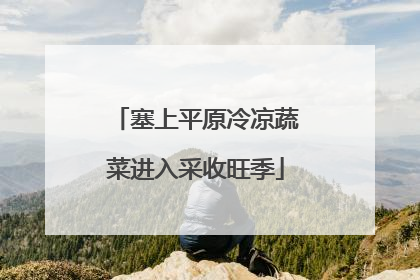 塞上平原冷凉蔬菜进入采收旺季