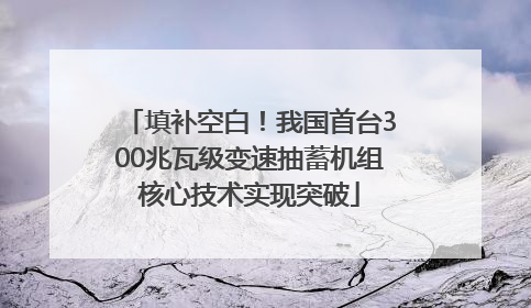 填补空白！我国首台300兆瓦级变速抽蓄机组核心技术实现突破