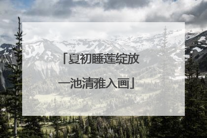 夏初睡莲绽放 一池清雅入画