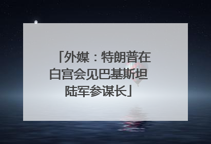 外媒：特朗普在白宫会见巴基斯坦陆军参谋长