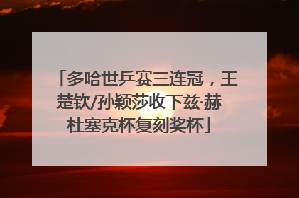 多哈世乒赛三连冠，王楚钦/孙颖莎收下兹·赫杜塞克杯复刻奖杯