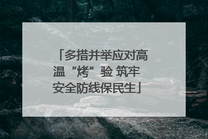 多措并举应对高温“烤”验 筑牢安全防线保民生