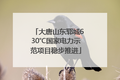 大唐山东郓城630℃国家电力示范项目稳步推进