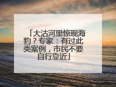 大沽河里惊现海豹？专家：有过此类案例，市民不要自行靠近