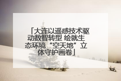 大连以遥感技术驱动数智转型 绘就生态环境“空天地”立体守护画卷