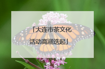 大连市茶文化活动高潮迭起