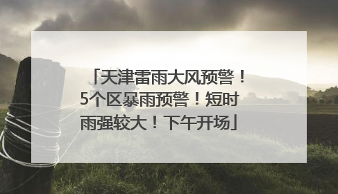 天津雷雨大风预警！5个区暴雨预警！短时雨强较大！下午开场