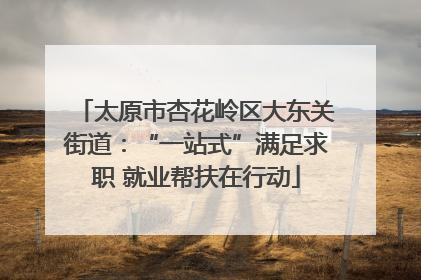 太原市杏花岭区大东关街道：“一站式”满足求职 就业帮扶在行动