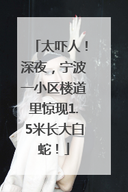 太吓人！深夜，宁波一小区楼道里惊现1.5米长大白蛇！