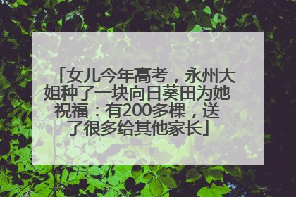 女儿今年高考,永州大姐种了一块向日葵田为她祝福:有200多棵,送了很多给其他家长