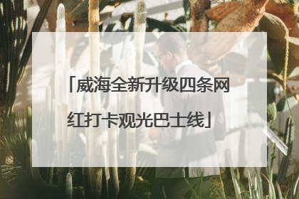 威海全新升级四条网红打卡观光巴士线
