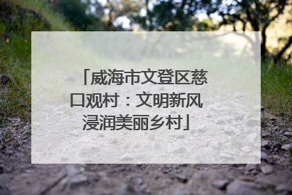 威海市文登区慈口观村：文明新风浸润美丽乡村