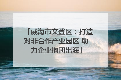 威海市文登区：打造对非合作产业园区 助力企业抱团出海