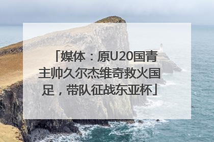 媒体：原U20国青主帅久尔杰维奇救火国足，带队征战东亚杯
