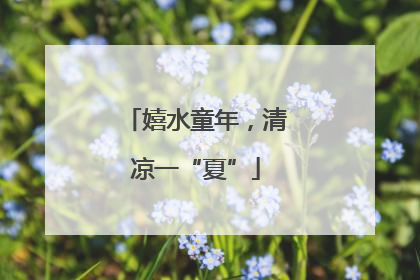 嬉水童年，清凉一“夏”
