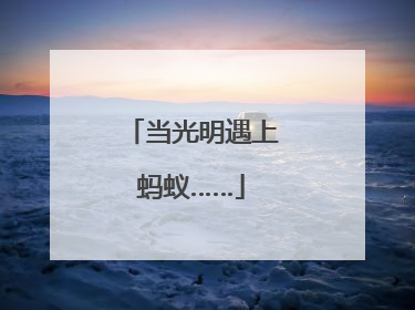 当光明遇上蚂蚁……