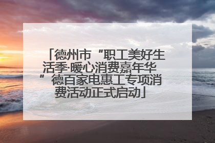德州市“职工美好生活季·暖心消费嘉年华”德百家电惠工专项消费活动正式启动
