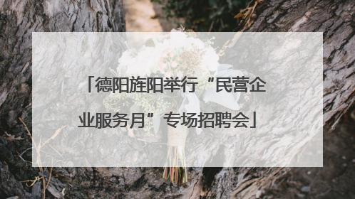 德阳旌阳举行“民营企业服务月”专场招聘会
