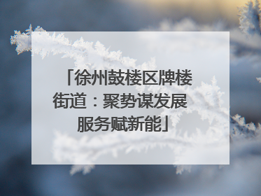 徐州鼓楼区牌楼街道：聚势谋发展 服务赋新能