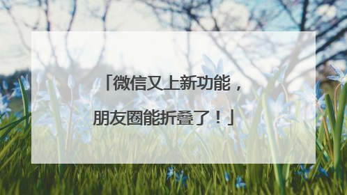 微信又上新功能，朋友圈能折叠了！