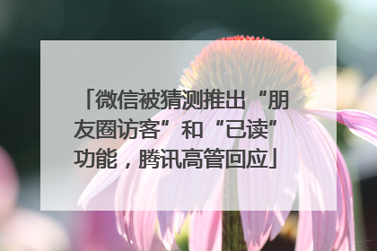 微信被猜测推出“朋友圈访客”和“已读”功能，腾讯高管回应