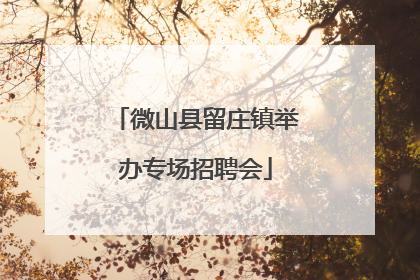 微山县留庄镇举办专场招聘会