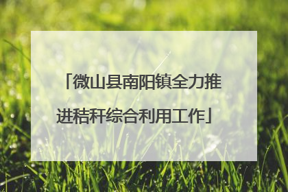 微山县南阳镇全力推进秸秆综合利用工作