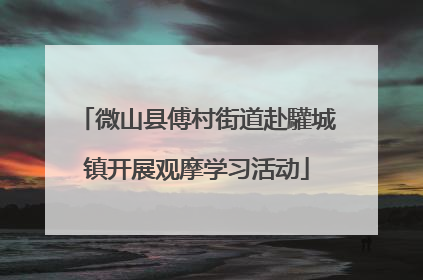 微山县傅村街道赴驩城镇开展观摩学习活动