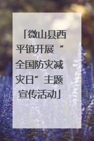 微山县西平镇开展“全国防灾减灾日”主题宣传活动