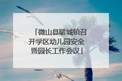 微山县驩城镇召开学区幼儿园安全暨园长工作会议