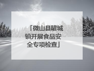 微山县驩城镇开展食品安全专项检查