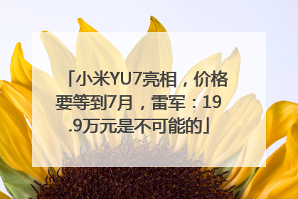 小米YU7亮相，价格要等到7月，雷军：19.9万元是不可能的