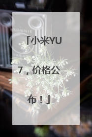小米YU7，价格公布！