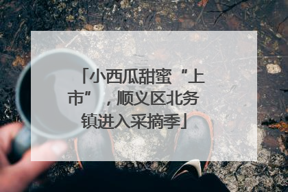 小西瓜甜蜜“上市”，顺义区北务镇进入采摘季