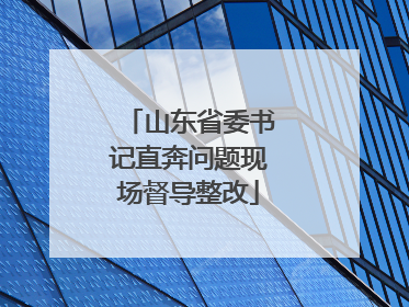 山东省委书记直奔问题现场督导整改