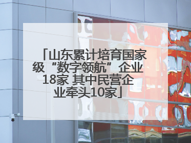 山东累计培育国家级“数字领航”企业18家 其中民营企业牵头10家