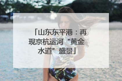山东东平港：再现京杭运河“黄金水道”盛景