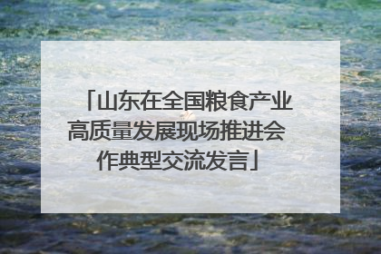 山东在全国粮食产业高质量发展现场推进会作典型交流发言